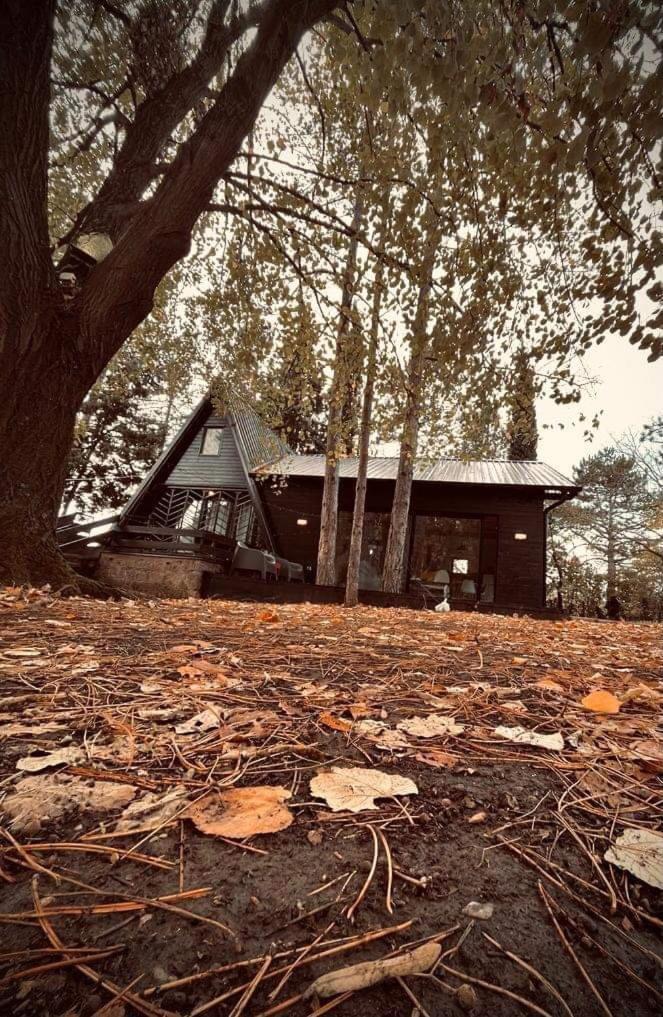Вилла Kuca Za Odmor Врдник Экстерьер фото